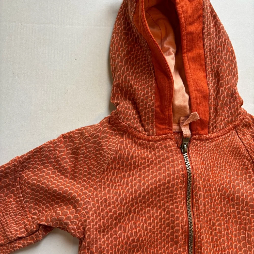 Oshkosh Kids lizard‎ Hoodie zip up nwt sz 2t